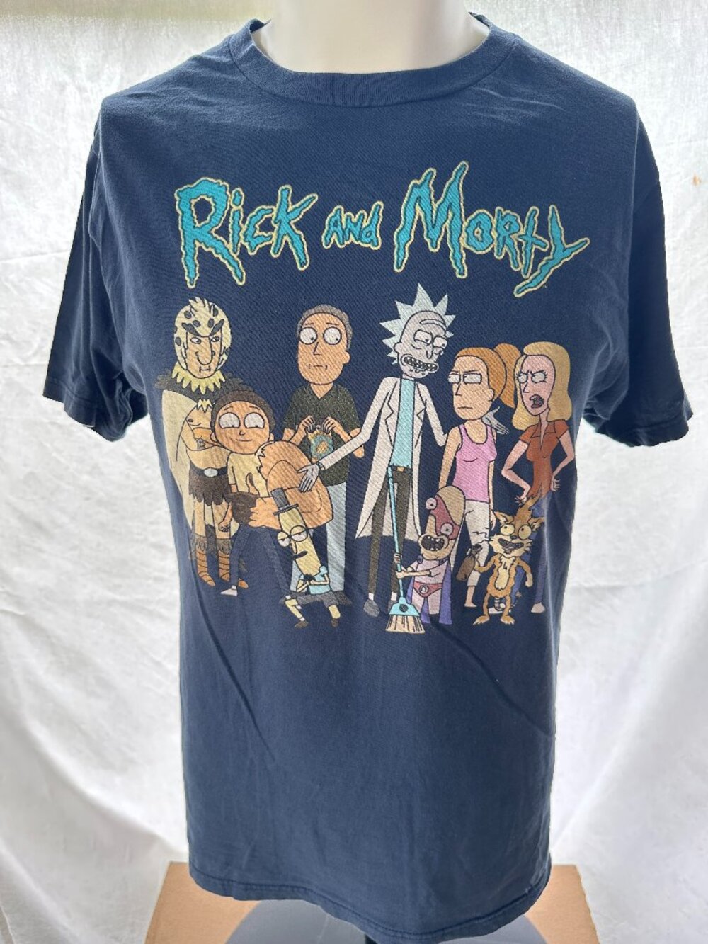 Rick and Morty 2021 Men's Blue T Shirt Size Medium Ripple Junction Adult Swim
